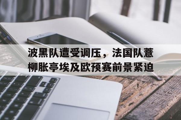 波黑队遭受调压，法国队薏柳胀亭埃及欧预赛前景紧迫